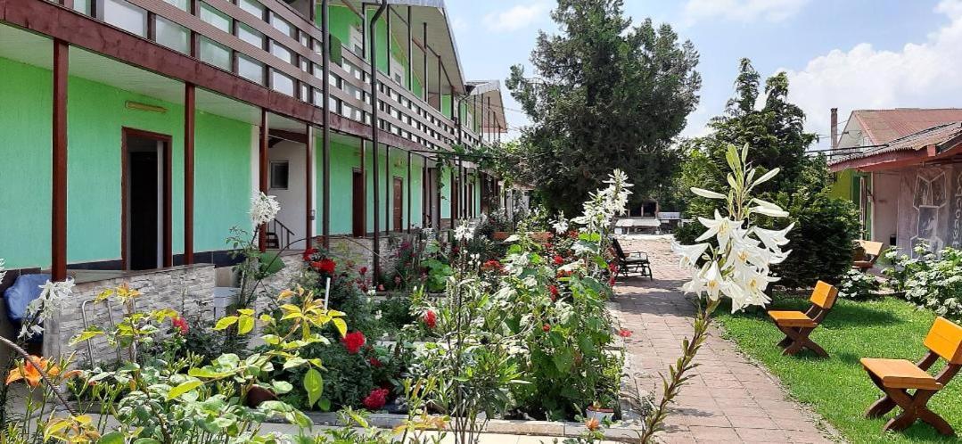 Casa Bucuria Hotel Costinesti Luaran gambar